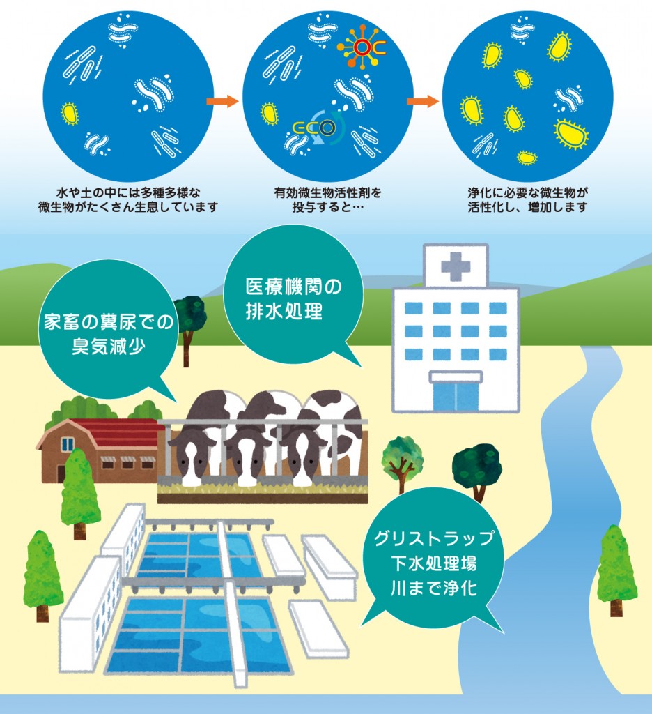 有効微生物活性剤